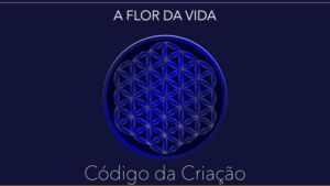 a flor da vida